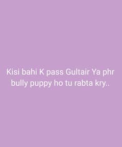bully or gultair