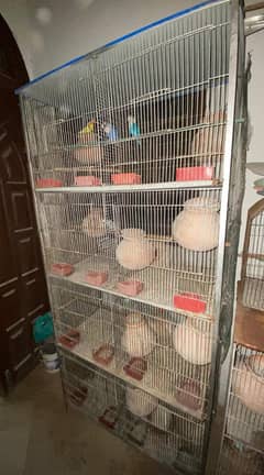6 portion cage for sale