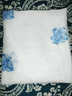 Hand made dupatta paint