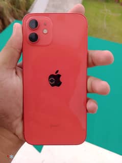 Iphone 12 non jv