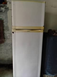 dollar refrigerator large size