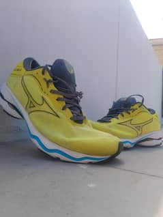 Mizuno