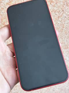 Iphone 13 (100 health)
