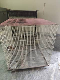 Big size cage 2.5 x2.5x2.5 feet