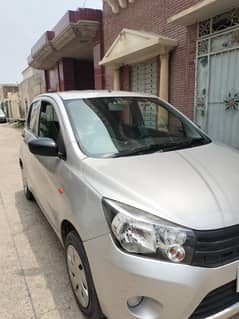 cultus VXR 2019