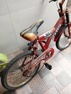 Cycle for kids.