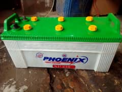 Phoenix