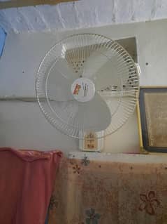 bracket fan