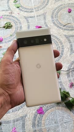 Google pixel 6 pro 12gb 12gb approved white color