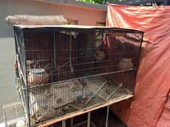 Cages for Hen or dogs