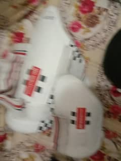 Cricket pads,Thai pads and Cricket helmet