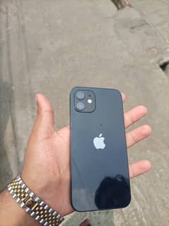 iPhone 12