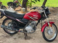 Yamaha