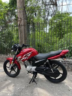 Yamaha