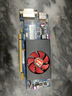 best graphics card