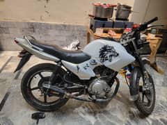 baik 10 10 hy koi kam nai hony wala