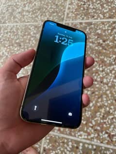 Iphone 12 pro max pta approved