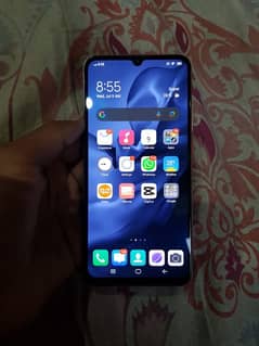 Vivo