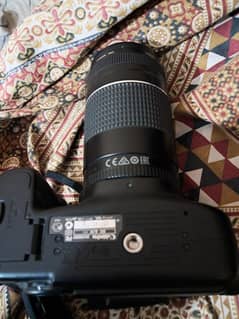 Cannon 60D with 75:300 lense