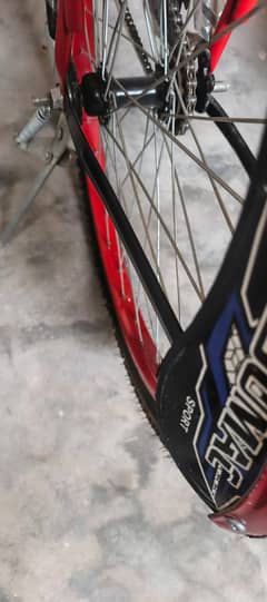 Cycle