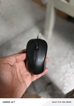 Mouse