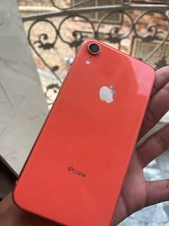 iPhone xr 64 gb non pta ( factory unde) Lush Conditions