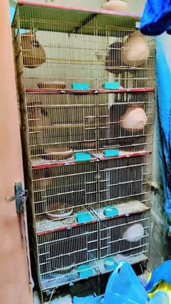 master cage 8 boxes