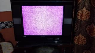 Nobel TV