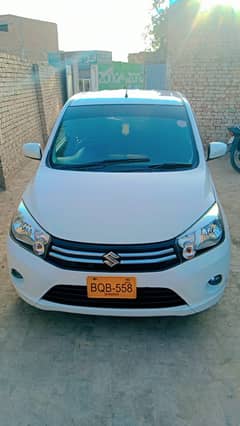 Suzuki cultus VXL 2019 sale