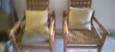 Hala chairs