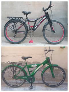 Sports Cycle 26 Inch
