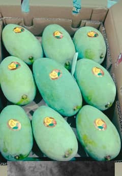 Multani Chaunsa Mango 