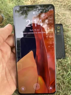 03136625558