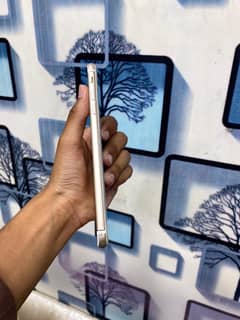 iPhone 7plus pta approve d 32gb urgent sale