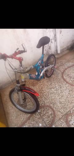 sports cycle contact 03139525629
