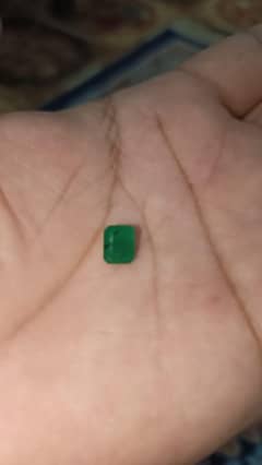 Swat