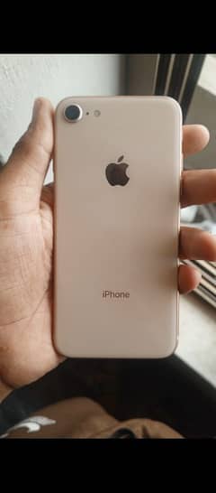iphone 8