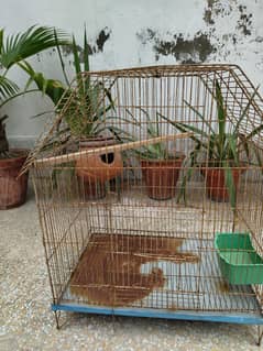 bird cage