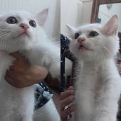 2months