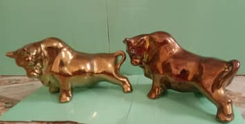 Pair of bulls