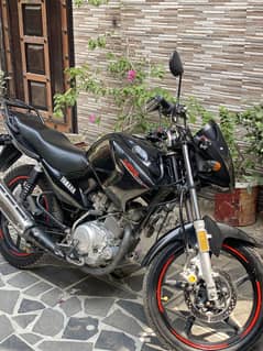 Yamaha