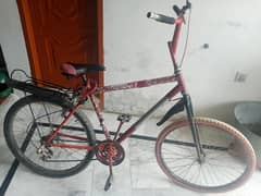 phoenix frame cycle