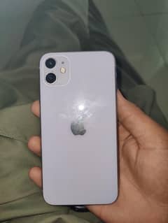 03136625558