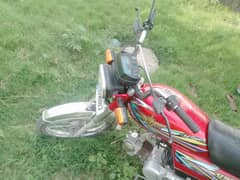 Union Star 70cc 2022