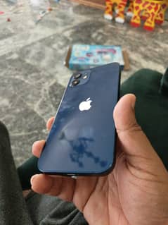 iphone 12 pta approved