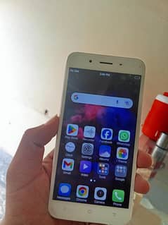 Vivo y66 4/64