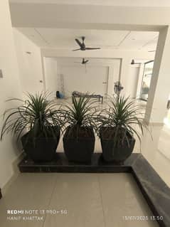 G10 Building Available For Rent Ideal Location