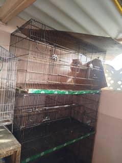 cage for sell iron folding cage , wooding & singal iron cage for s