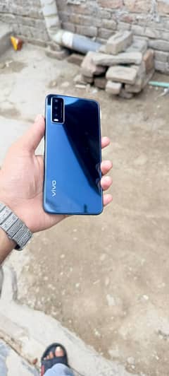 vivo