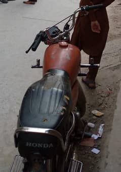 habib